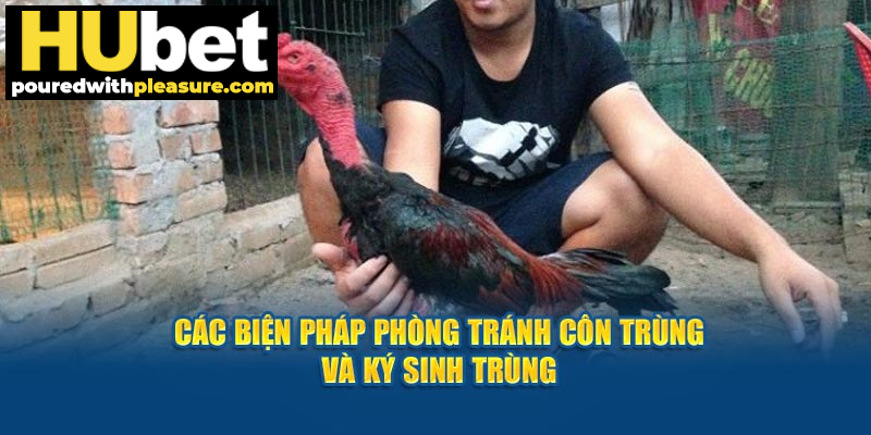 Các biện pháp phòng tránh côn trùng, ký sinh trùng.