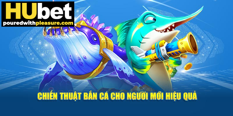 Chiến thuật cho người mới hiệu quả