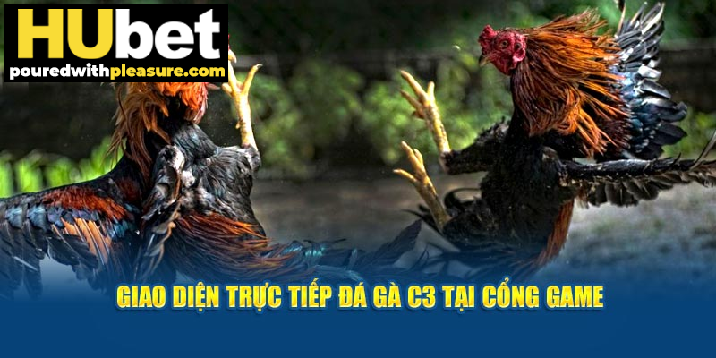 Giao diện trực tiếp đá gà C3 tại cổng game