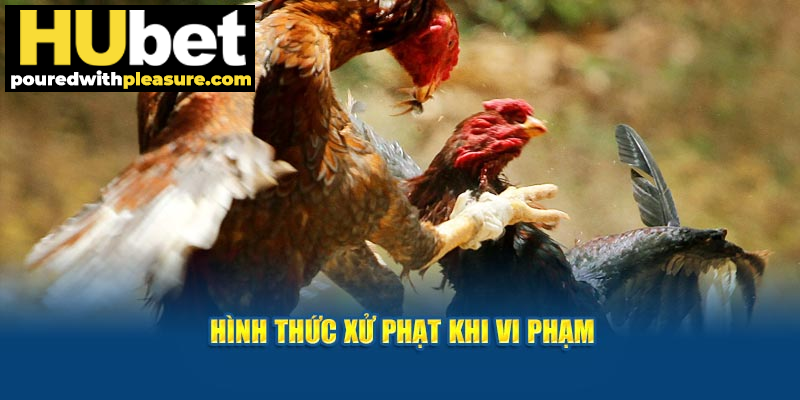 Hình thức xử phạt khi vi phạm