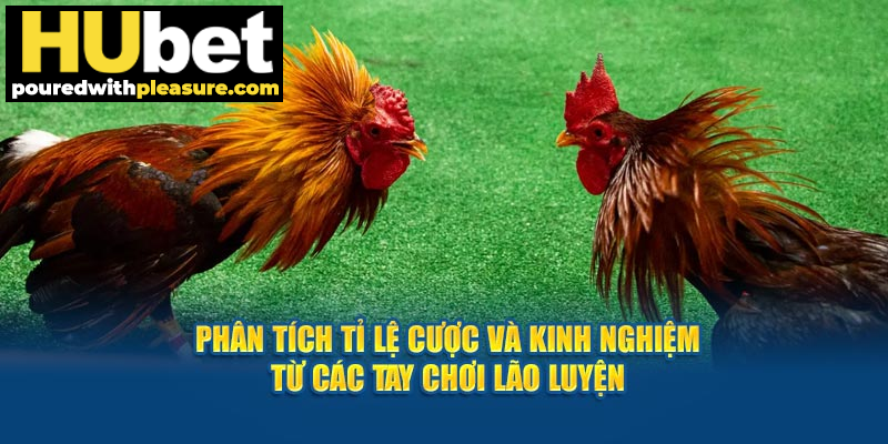 Phân tích tỉ lệ cược và kinh nghiệm từ các tay chơi lão luyện