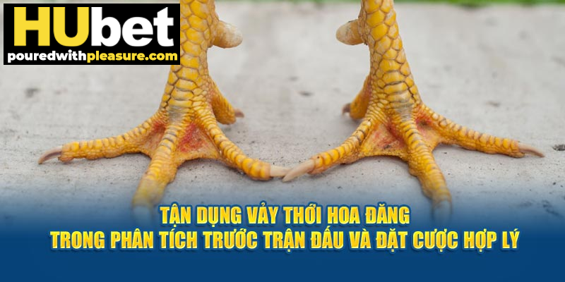 Tận dụng tấm giáp độc lạ trong phân tích trước trận đấu và đặt cược hợp lý.